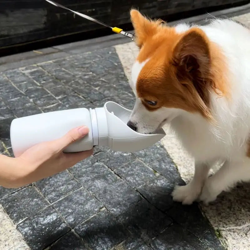 Portable Travel Dispenser for Dogs & Cats